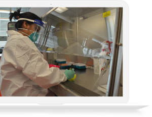Cieri Lab Centre for Epidemic Response and Innovation – Centre for Epidemic ...